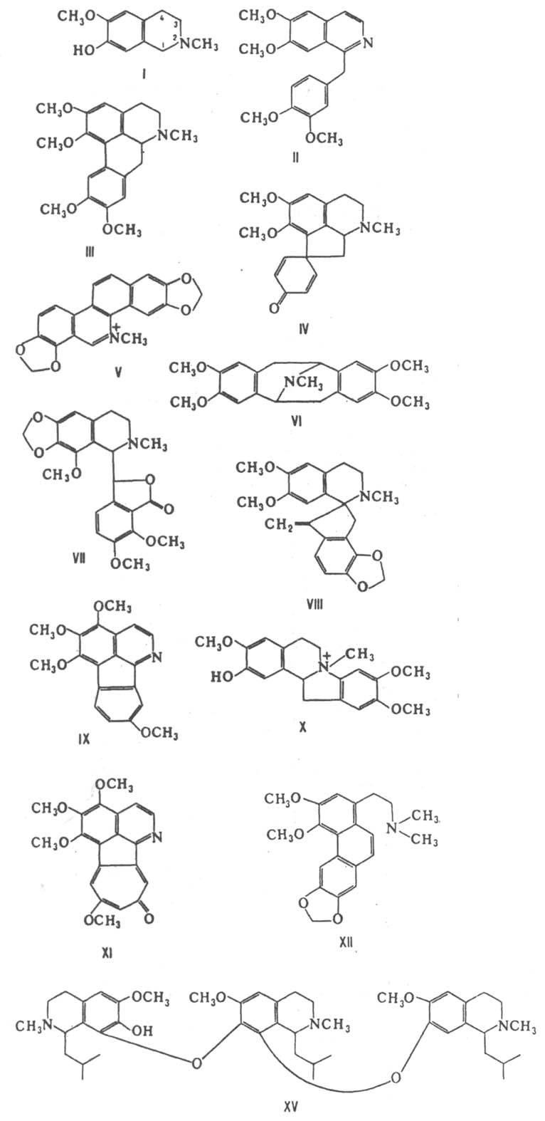 https://www.pora.ru/image/encyclopedia/8/5/2/6852.jpeg