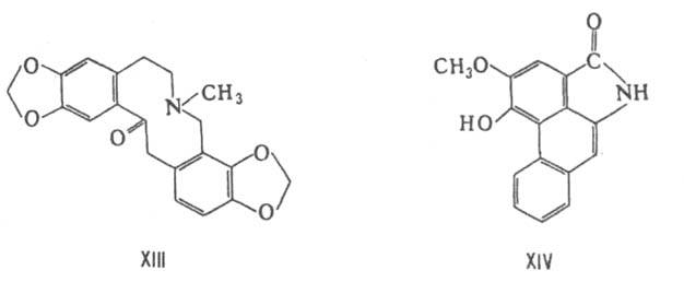 https://www.pora.ru/image/encyclopedia/8/5/3/6853.jpeg