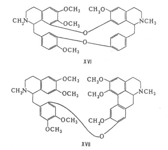 https://www.pora.ru/image/encyclopedia/8/5/4/6854.jpeg