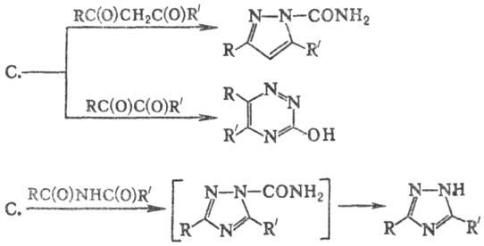 https://www.pora.ru/image/encyclopedia/8/5/6/12856.jpeg