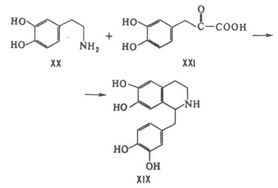 https://www.pora.ru/image/encyclopedia/8/5/6/6856.jpeg