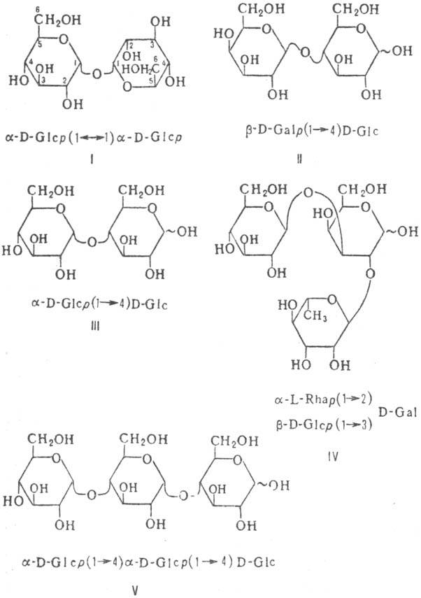 https://www.pora.ru/image/encyclopedia/8/5/7/9857.jpeg