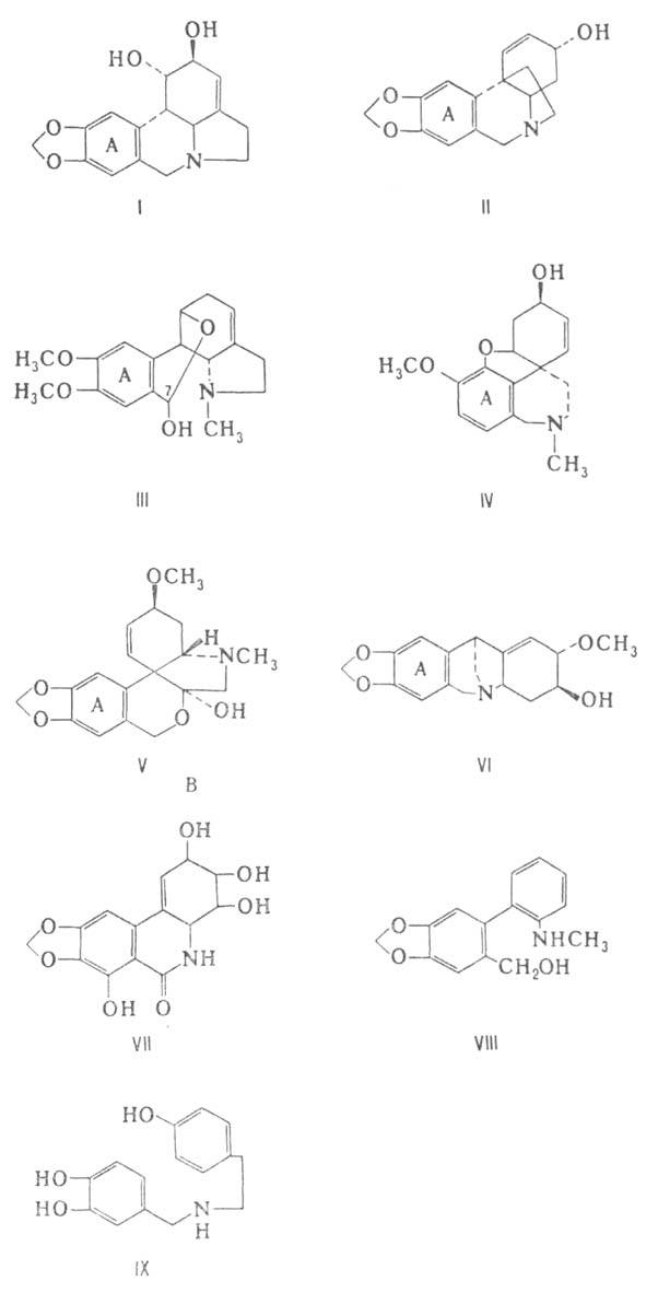 https://www.pora.ru/image/encyclopedia/8/5/8/1858.jpeg