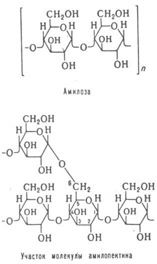 https://www.pora.ru/image/encyclopedia/8/7/2/7872.jpeg