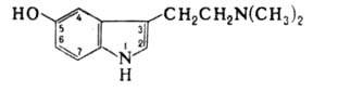 https://www.pora.ru/image/encyclopedia/8/8/6/3886.jpeg