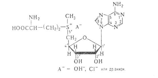 https://www.pora.ru/image/encyclopedia/8/9/4/894.jpeg