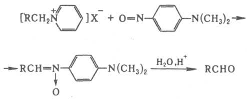 https://www.pora.ru/image/encyclopedia/9/1/2/7912.jpeg