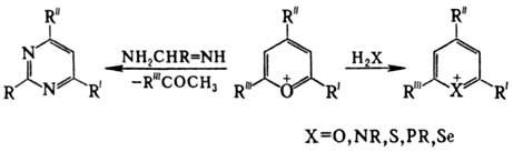 https://www.pora.ru/image/encyclopedia/9/1/6/10916.jpeg