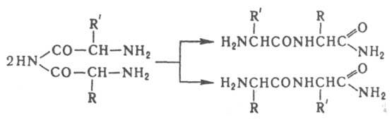 https://www.pora.ru/image/encyclopedia/9/1/6/6916.jpeg