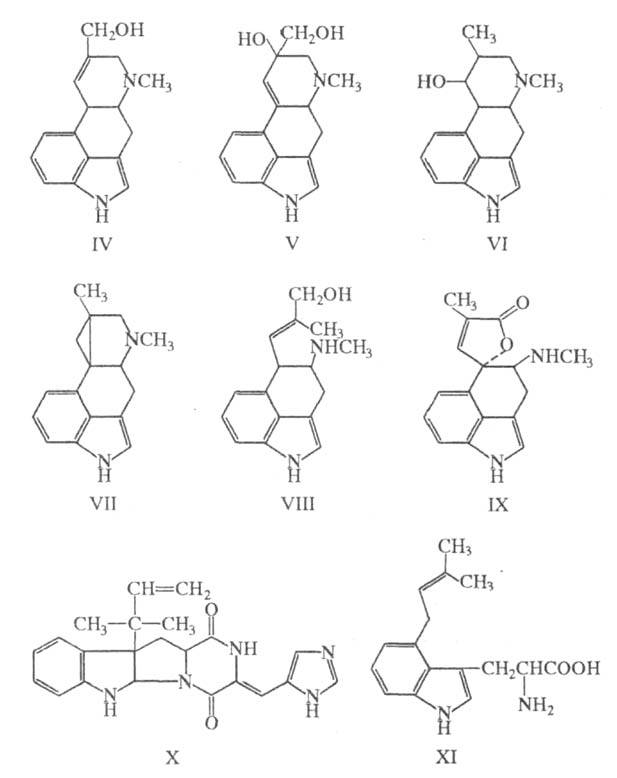 https://www.pora.ru/image/encyclopedia/9/1/7/18917.jpeg