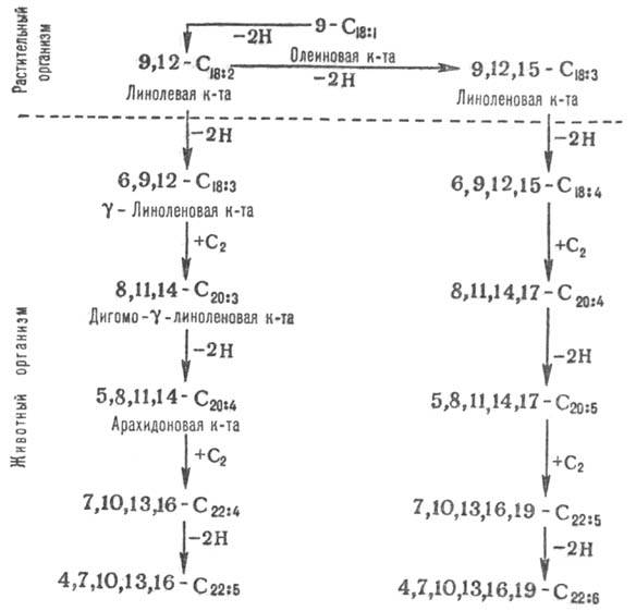 https://www.pora.ru/image/encyclopedia/9/2/0/8920.jpeg