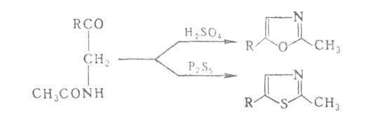 https://www.pora.ru/image/encyclopedia/9/2/1/1921.jpeg