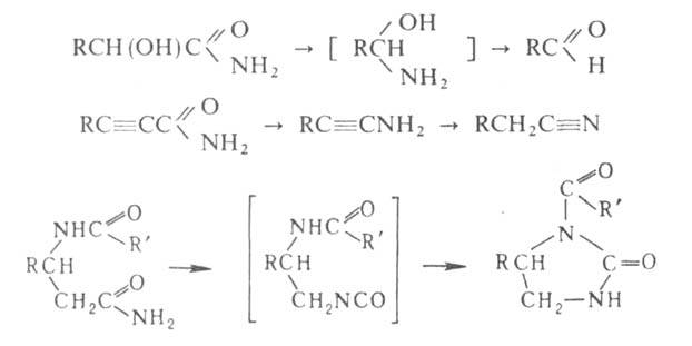 https://www.pora.ru/image/encyclopedia/9/2/2/5922.jpeg