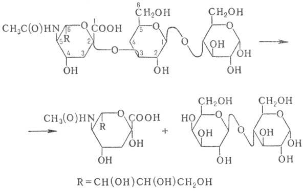 https://www.pora.ru/image/encyclopedia/9/2/3/8923.jpeg