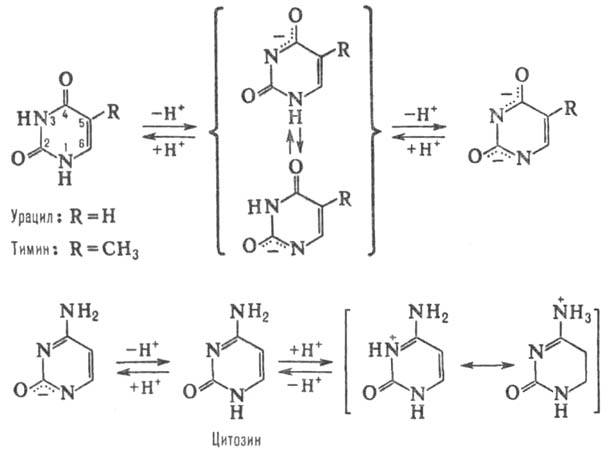 https://www.pora.ru/image/encyclopedia/9/2/7/10927.jpeg