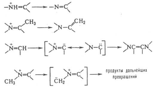 https://www.pora.ru/image/encyclopedia/9/3/5/6935.jpeg