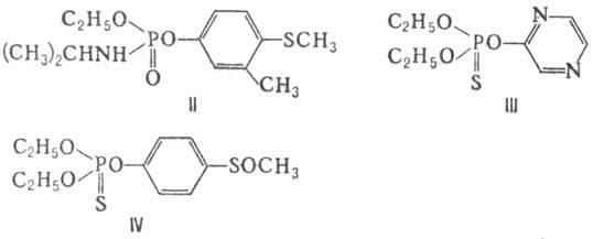 https://www.pora.ru/image/encyclopedia/9/3/5/8935.jpeg