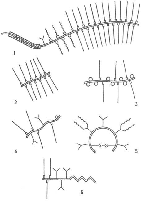 https://www.pora.ru/image/encyclopedia/9/3/7/11937.jpeg