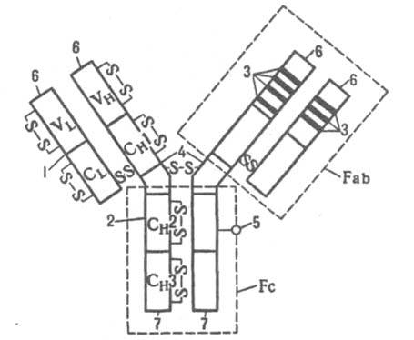 https://www.pora.ru/image/encyclopedia/9/4/6/6946.jpeg