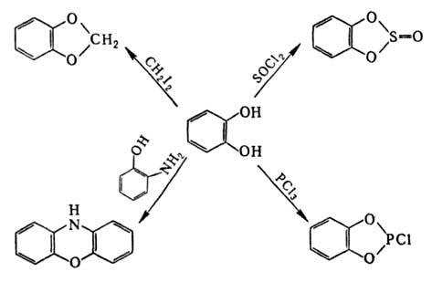 https://www.pora.ru/image/encyclopedia/9/5/0/10950.jpeg