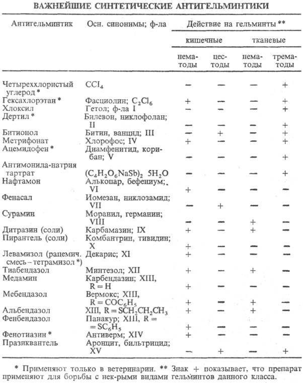 https://www.pora.ru/image/encyclopedia/9/5/4/11954.jpeg