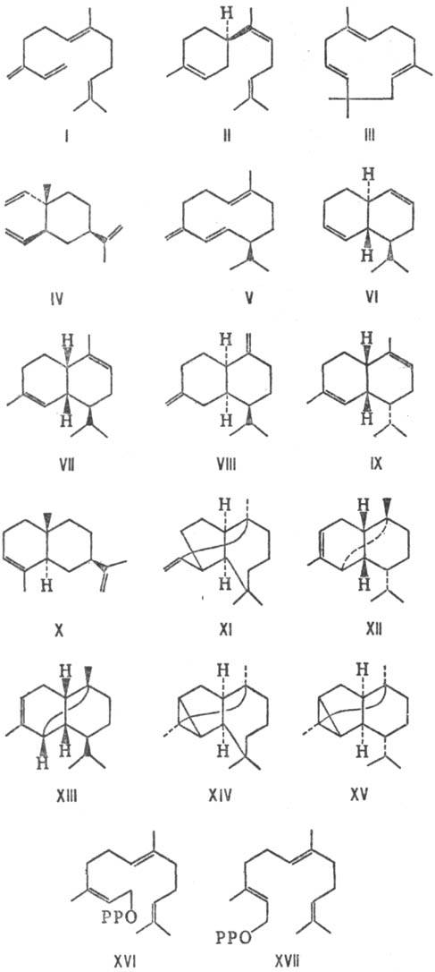 https://www.pora.ru/image/encyclopedia/9/5/6/12956.jpeg