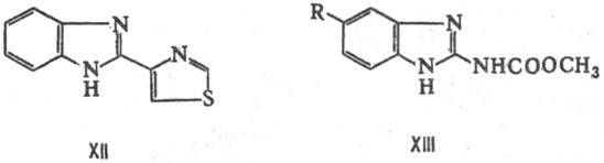 https://www.pora.ru/image/encyclopedia/9/6/1/11961.jpeg