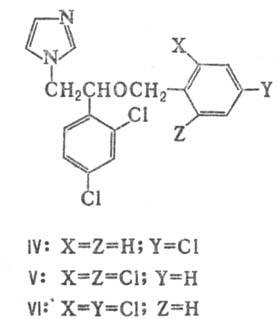 https://www.pora.ru/image/encyclopedia/9/6/5/11965.jpeg