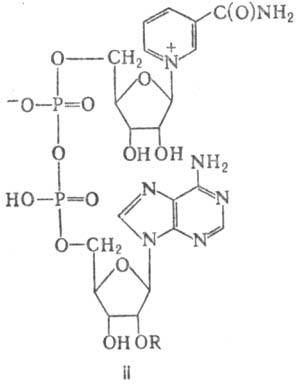 https://www.pora.ru/image/encyclopedia/9/7/1/8971.jpeg