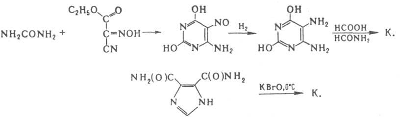 https://www.pora.ru/image/encyclopedia/9/7/2/7972.jpeg