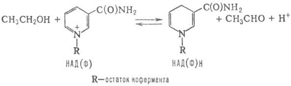 https://www.pora.ru/image/encyclopedia/9/7/2/8972.jpeg