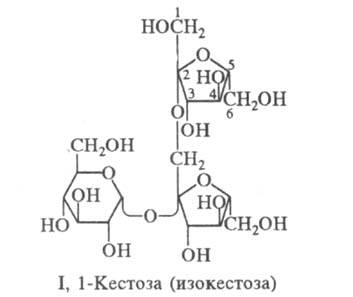 https://www.pora.ru/image/encyclopedia/9/7/4/15974.jpeg