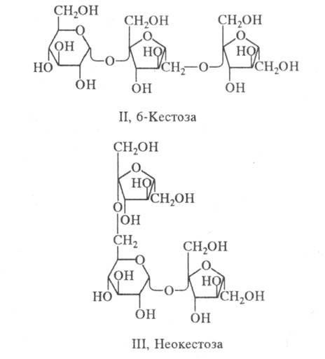 https://www.pora.ru/image/encyclopedia/9/7/5/15975.jpeg