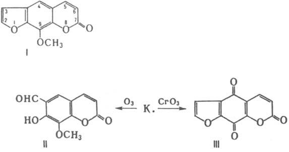 https://www.pora.ru/image/encyclopedia/9/7/6/7976.jpeg