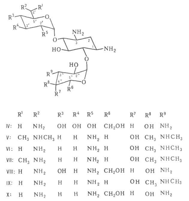 https://www.pora.ru/image/encyclopedia/9/7/7/1977.jpeg