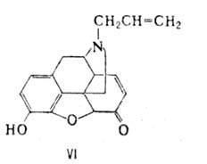 https://www.pora.ru/image/encyclopedia/9/7/7/9977.jpeg