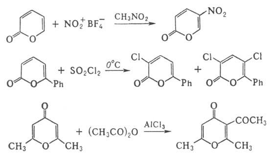 https://www.pora.ru/image/encyclopedia/9/8/9/10989.jpeg