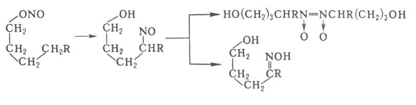 https://www.pora.ru/image/encyclopedia/9/9/3/2993.jpeg