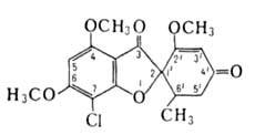 https://www.pora.ru/image/encyclopedia/9/9/6/5996.jpeg