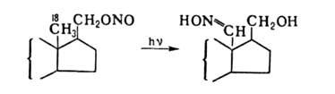 https://www.pora.ru/image/encyclopedia/9/9/8/2998.jpeg