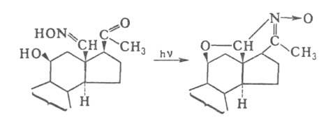 https://www.pora.ru/image/encyclopedia/9/9/9/2999.jpeg